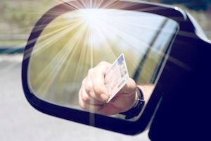 drivers licenses